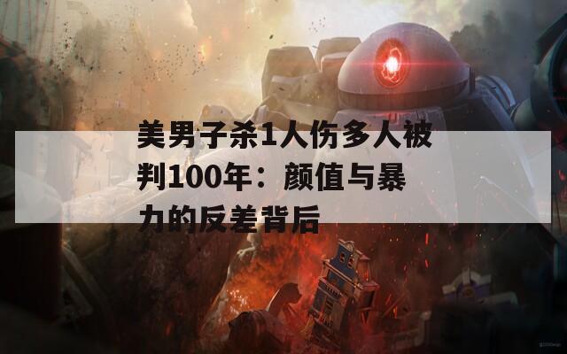 美男子杀1人伤多人被判100年：颜值与暴力的反差背后