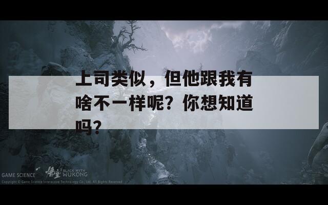 上司类似，但他跟我有啥不一样呢？你想知道吗？