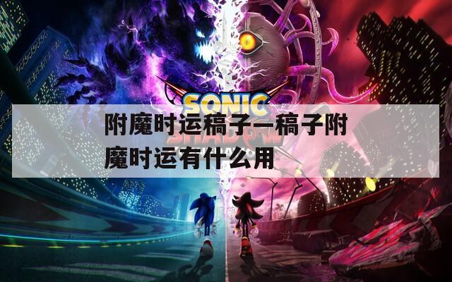附魔时运稿子—稿子附魔时运有什么用
