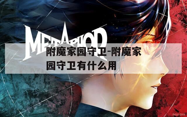 附魔家园守卫-附魔家园守卫有什么用