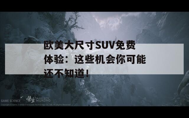 欧美大尺寸SUV免费体验：这些机会你可能还不知道！
