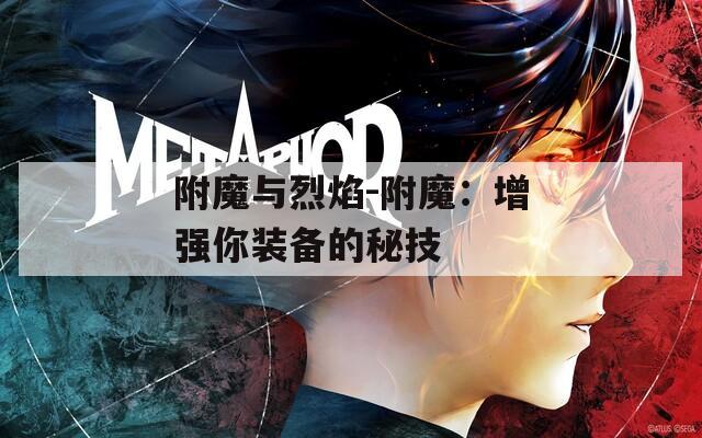 附魔与烈焰-附魔：增强你装备的秘技