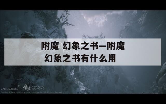 附魔 幻象之书—附魔 幻象之书有什么用