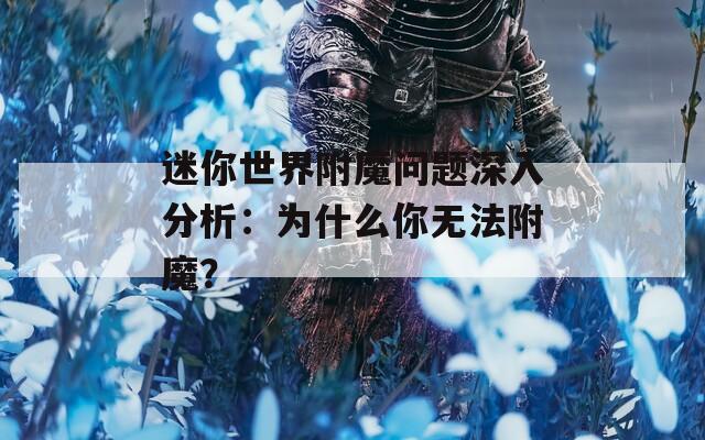 迷你世界附魔问题深入分析：为什么你无法附魔？