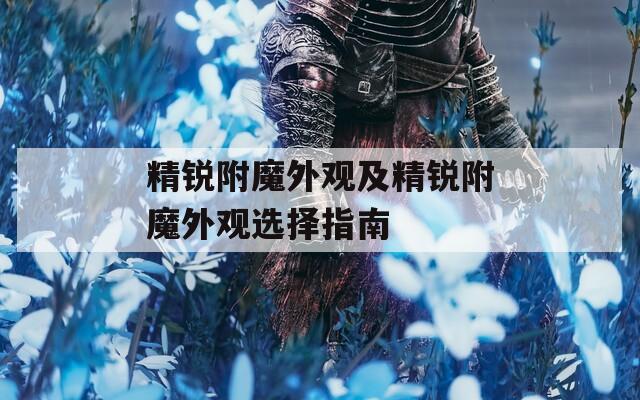 精锐附魔外观及精锐附魔外观选择指南