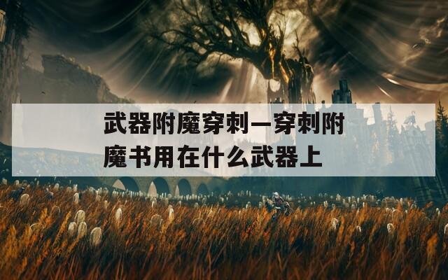 武器附魔穿刺—穿刺附魔书用在什么武器上  第1张
