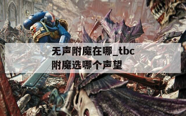 无声附魔在哪_tbc附魔选哪个声望
