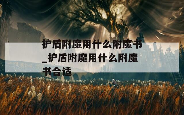 护盾附魔用什么附魔书_护盾附魔用什么附魔书合适  第1张