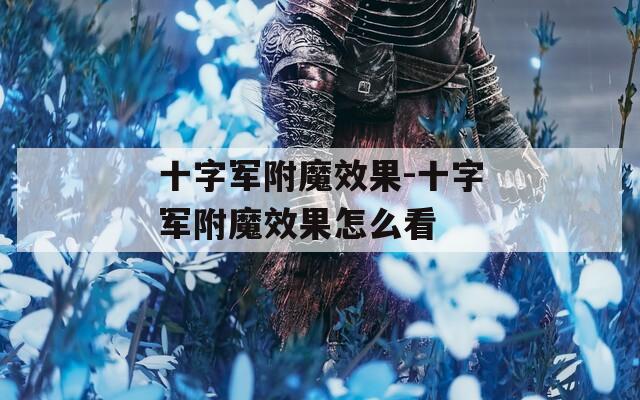 十字军附魔效果-十字军附魔效果怎么看  第1张