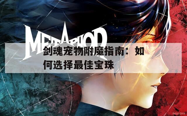 剑魂宠物附魔指南：如何选择最佳宝珠