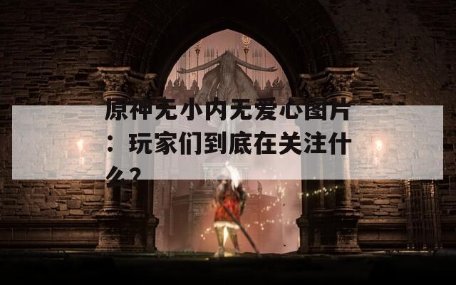 原神无小内无爱心图片：玩家们到底在关注什么？