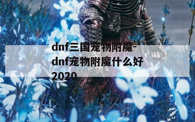 dnf三国宠物附魔-dnf宠物附魔什么好2020