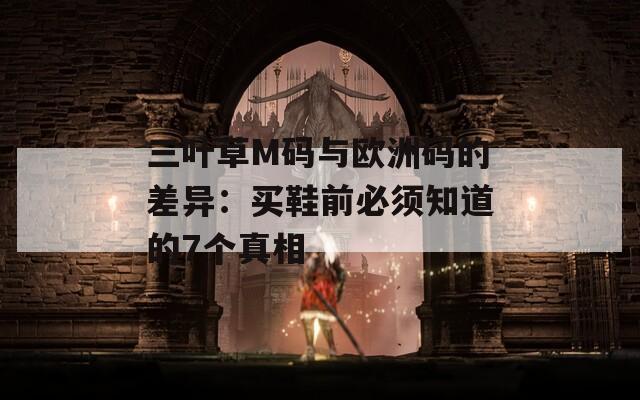 三叶草M码与欧洲码的差异：买鞋前必须知道的7个真相