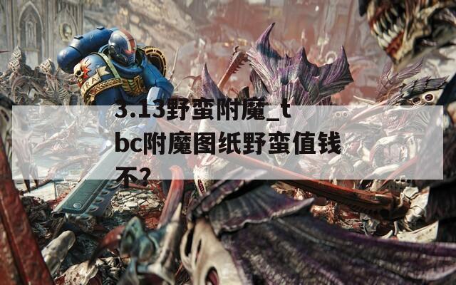 3.13野蛮附魔_tbc附魔图纸野蛮值钱不？