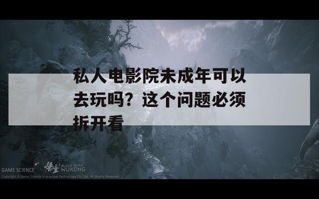 私人电影院未成年可以去玩吗？这个问题必须拆开看