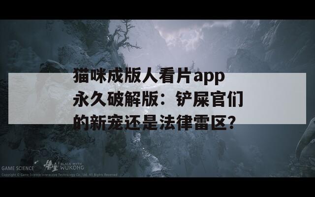 猫咪成版人看片app永久破解版：铲屎官们的新宠还是法律雷区？