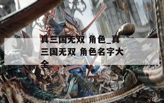 真三国无双 角色_真三国无双 角色名字大全