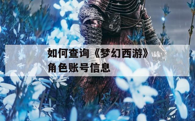 如何查询《梦幻西游》角色账号信息