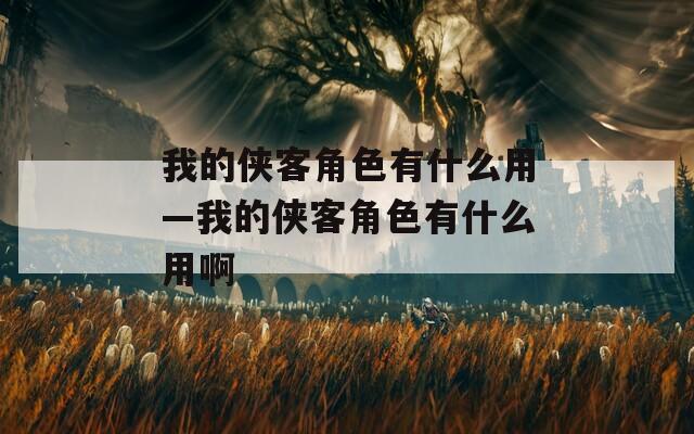 我的侠客角色有什么用—我的侠客角色有什么用啊