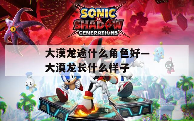 大漠龙途什么角色好—大漠龙长什么样子