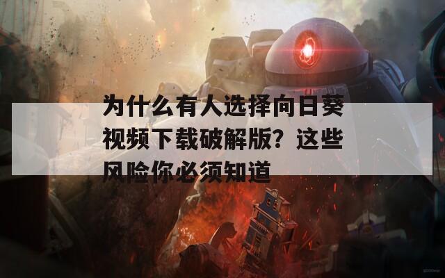 为什么有人选择向日葵视频下载破解版？这些风险你必须知道