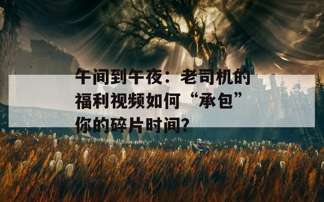 午间到午夜：老司机的福利视频如何“承包”你的碎片时间？
